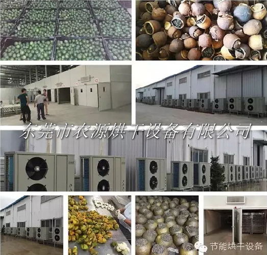 新會甘普茶烘干項目