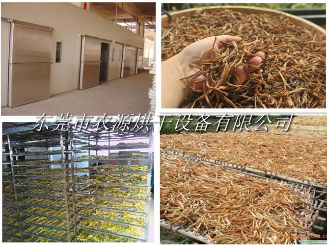 黃花菜烘干