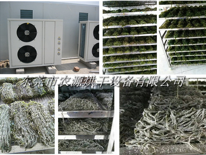 福建海帶烘干項(xiàng)目