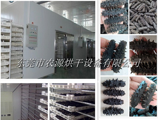 海參冷風(fēng)干燥