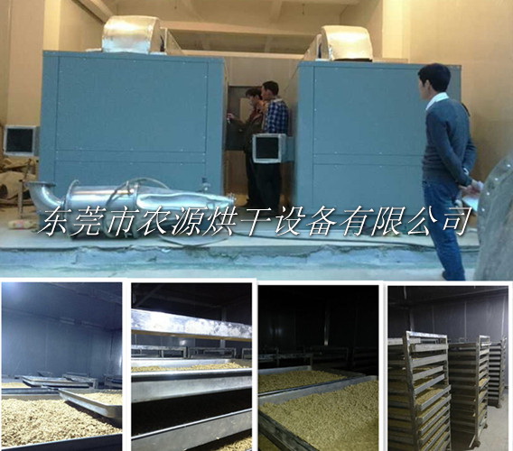 云南松花粉烘干項目