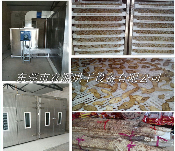 內蒙古肉蓯蓉烘干項目