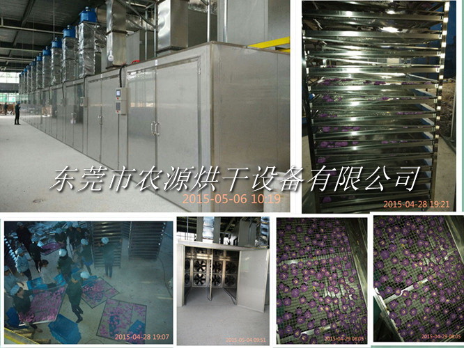 山東玫瑰花烘干及花露提取項目