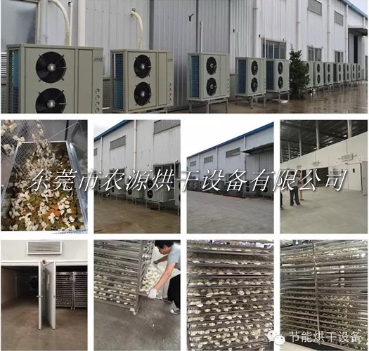 新會陳皮烘干項目