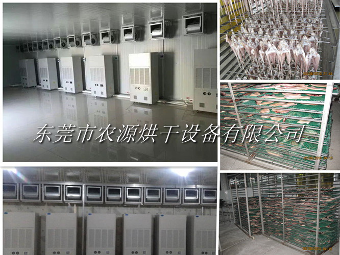 冷風(fēng)魷魚烘干