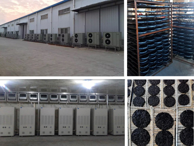 紫菜烘干機(jī)