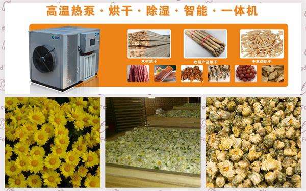 菊花烘干機